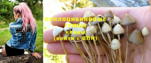 МДПВ Гусиноозёрск