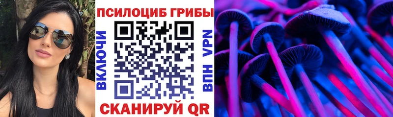 Псилоцибиновые грибы мицелий  Южноуральск 